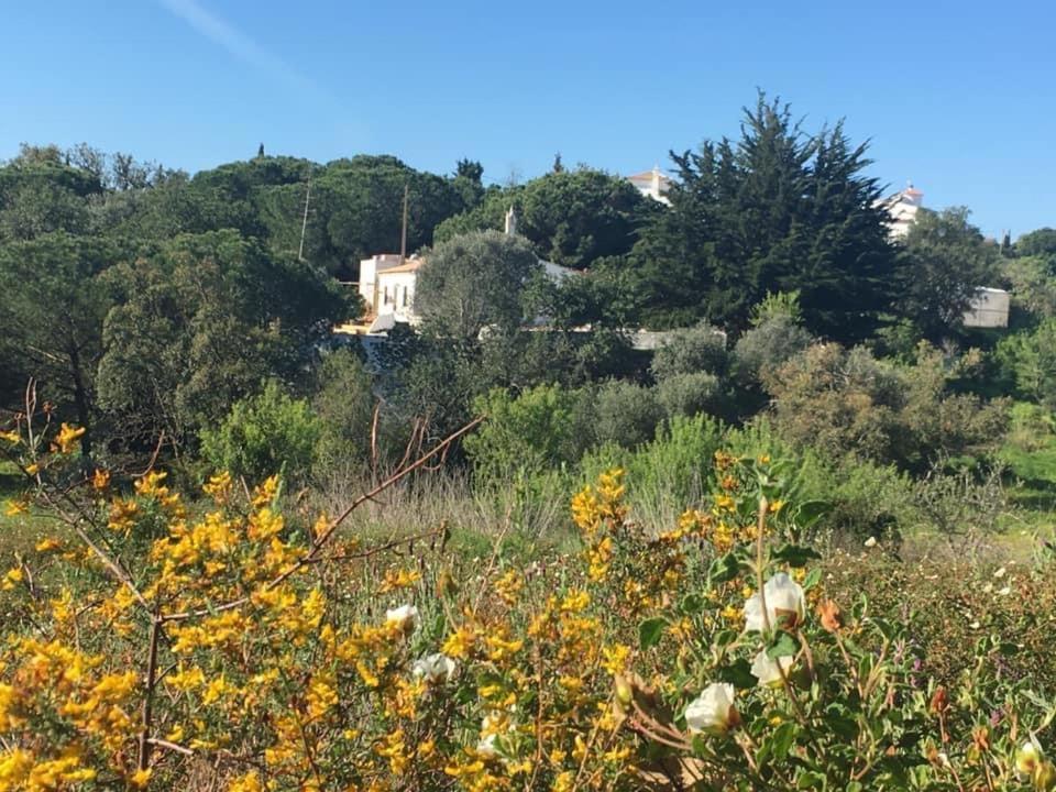 Casa Da Ti Carolina Villa Carvoeiro  Eksteriør billede